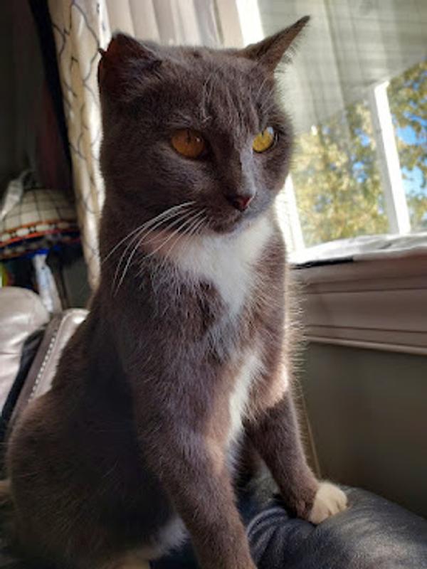 User generated review image 2