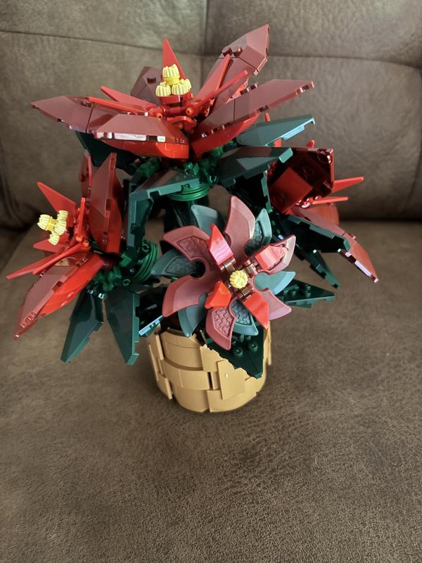 Review Thumbnail Image 0 1206888050