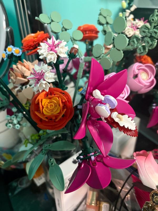 Review Thumbnail Image 0 1192692645