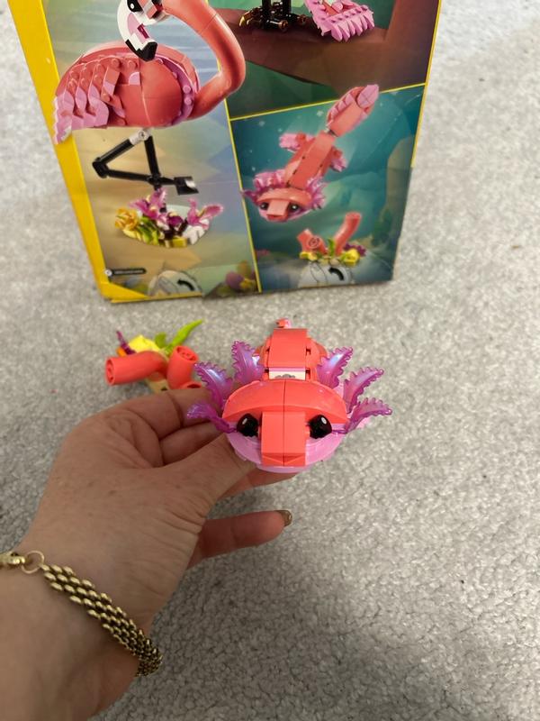 Review Thumbnail Image 1 1198610209