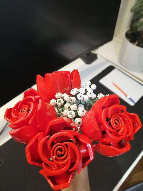 User generated review image 1