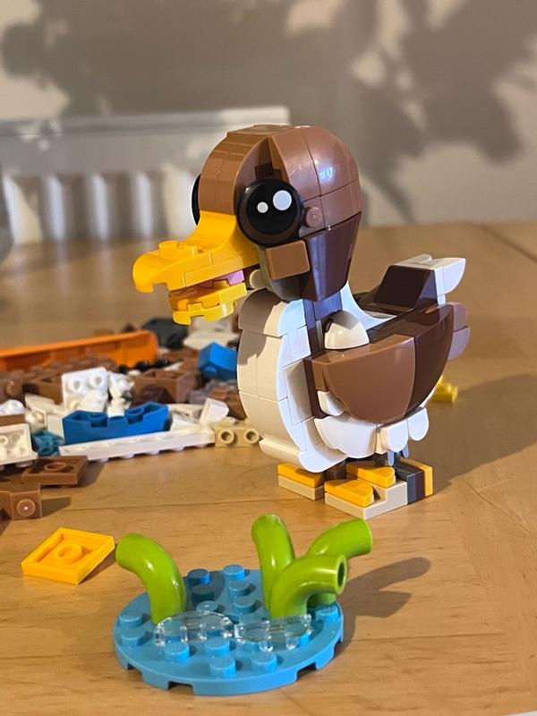 User generated review image 3