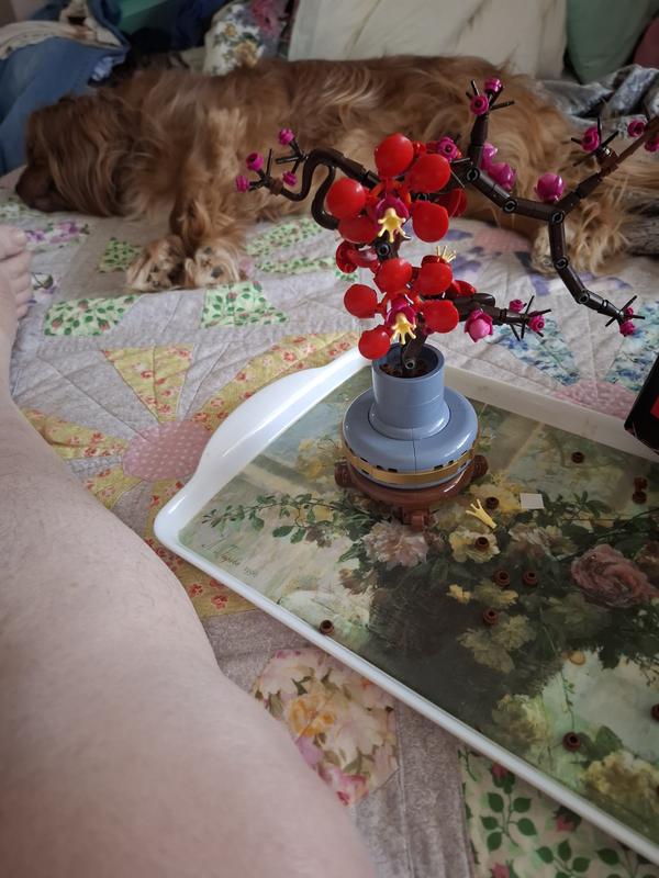 Review Thumbnail Image 0 1209694144