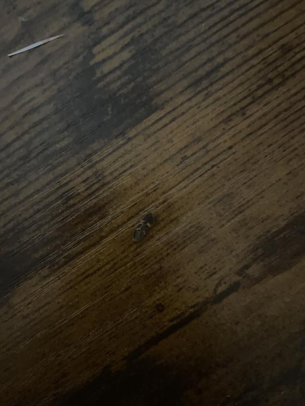 Review Thumbnail Image 0 1210698020