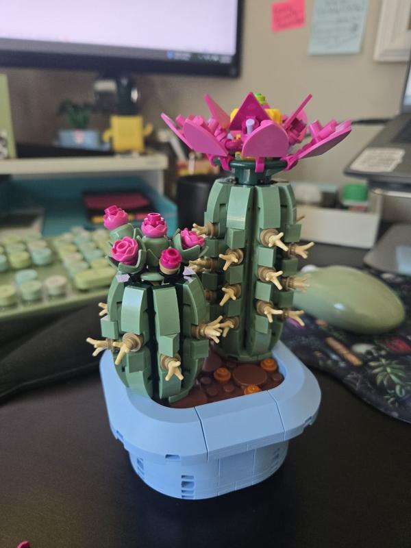 User generated review image 3