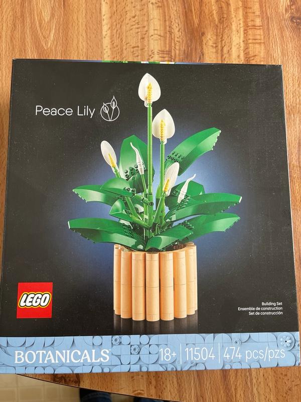 User generated review image 3