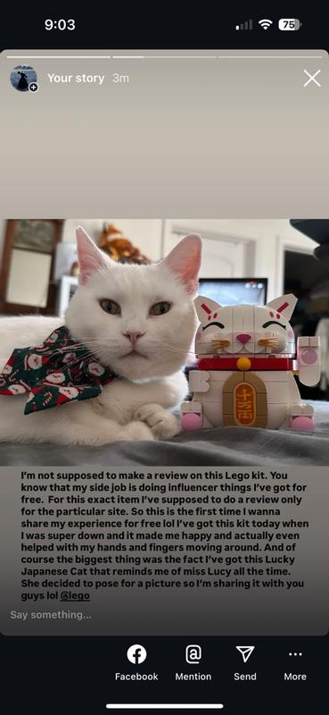 User generated review image 2