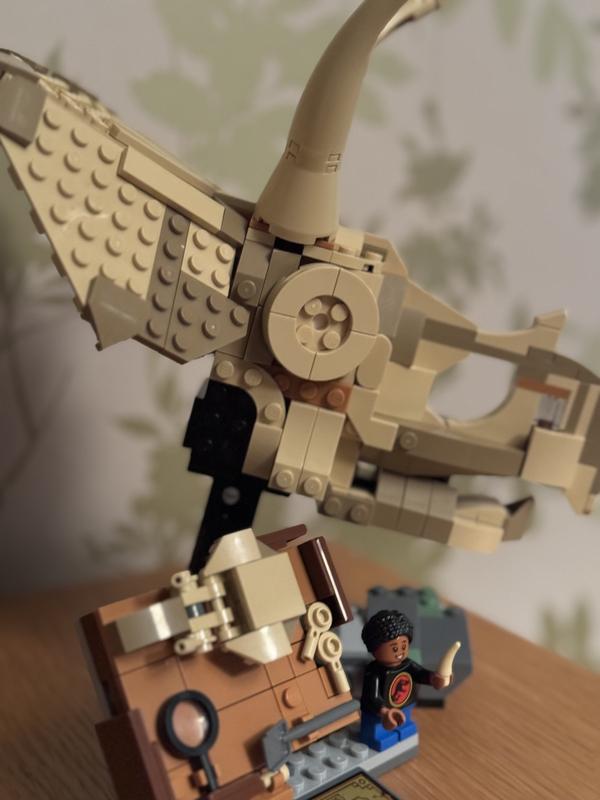 User generated review image 3