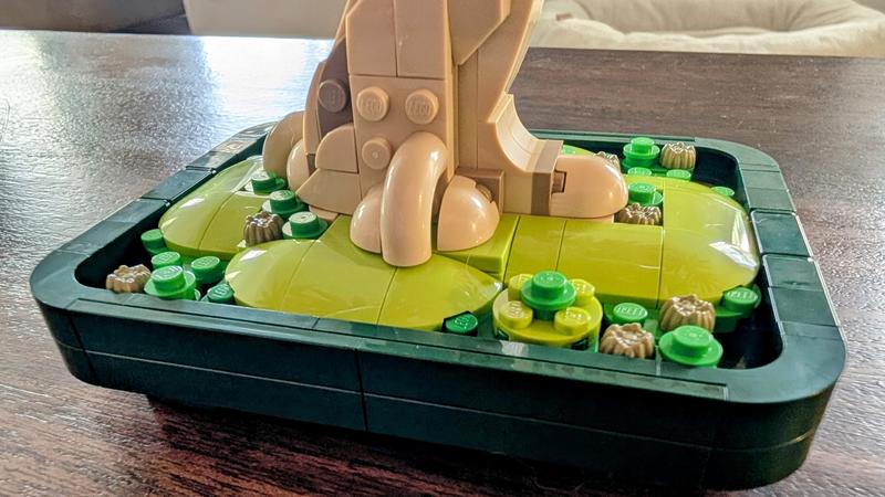 User generated review image 2