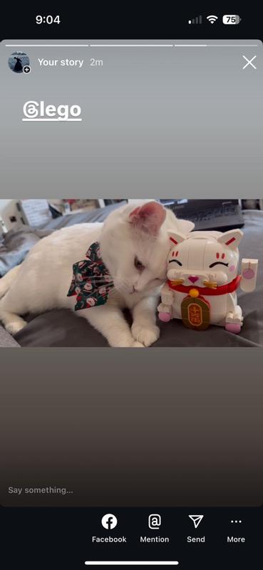 User generated review image 3