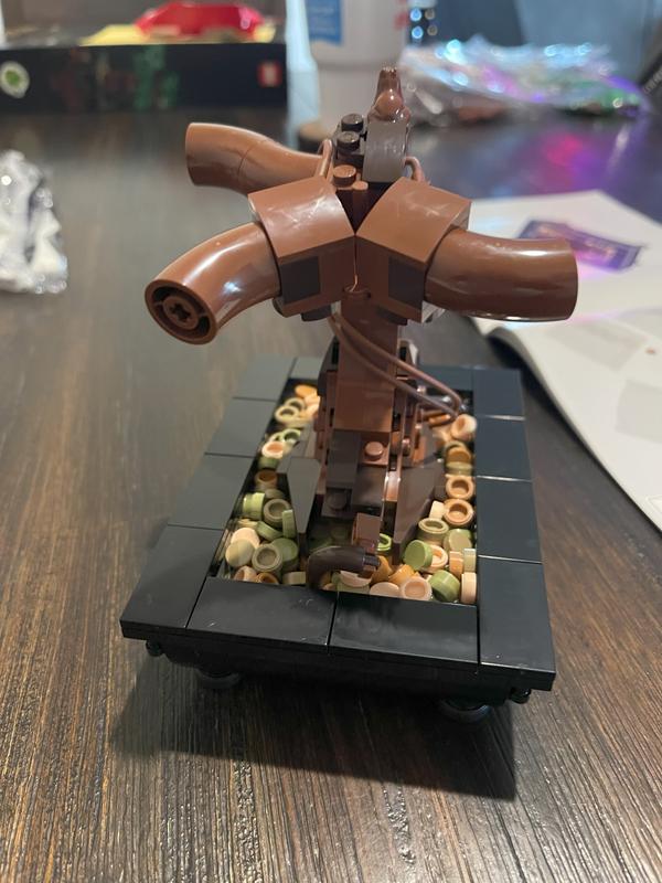 User generated review image 2