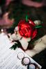 https://photos-eu.bazaarvoice.com/photo/2/cGhvdG86bGVnby1nbG9iYWw/eae4c133-ee4e-5fed-9562-1a60394a72dc