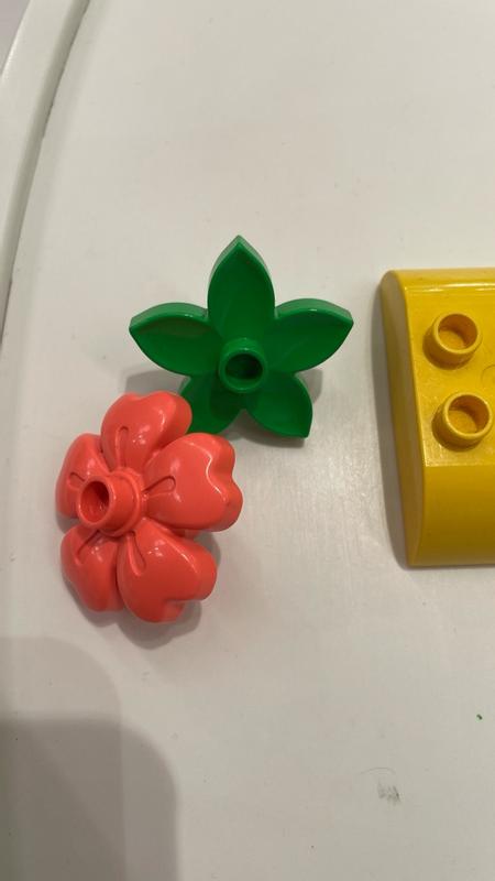 User generated review image 2