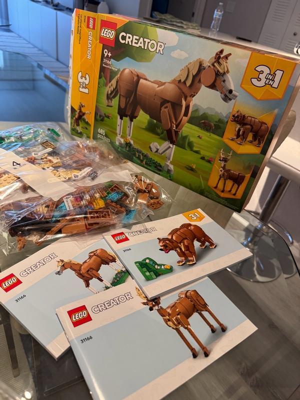 User generated review image 3