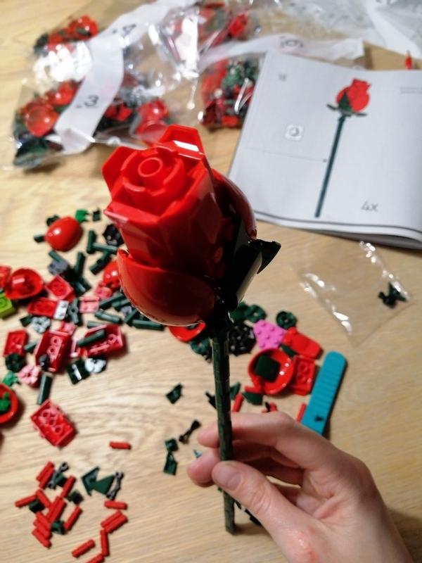 User generated review image 2