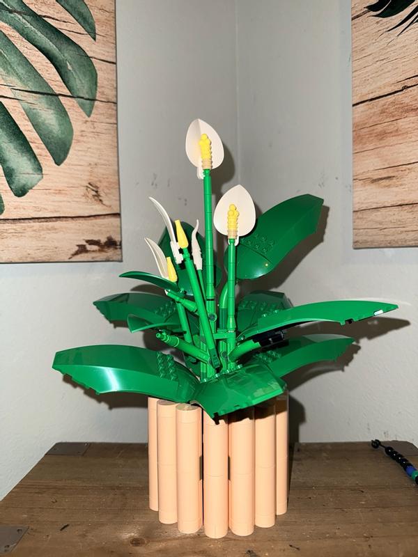 User generated review image 1