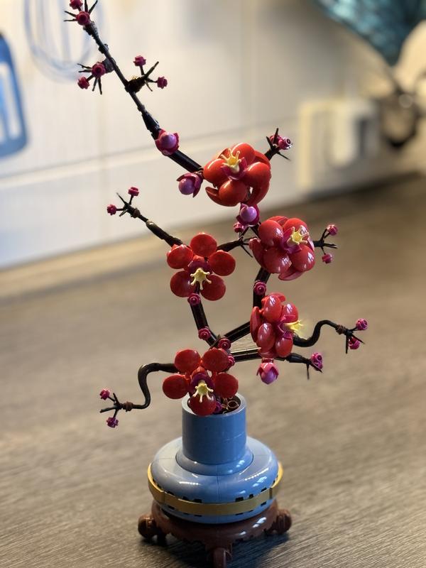 der gespaltene bambus Bambus-Sichtschutzzaun Brasil | Natur