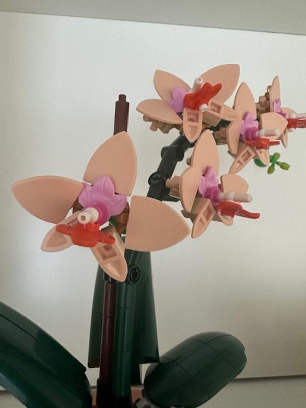 User generated review image 3