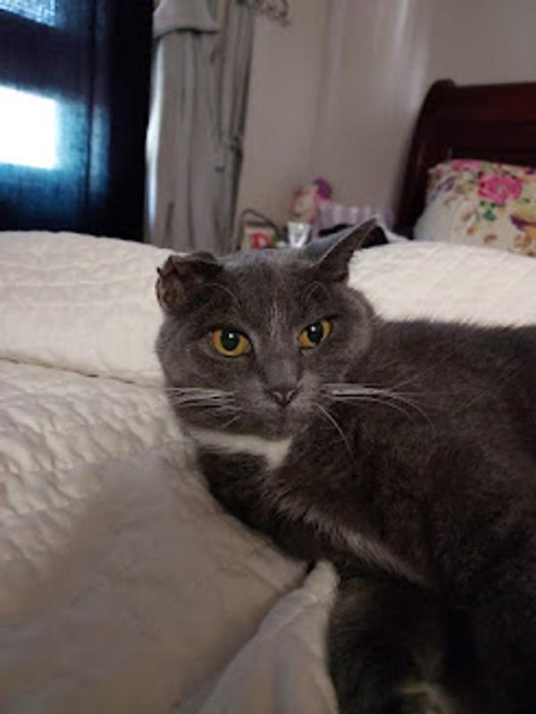 User generated review image 3