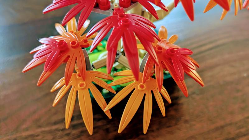 User generated review image 3