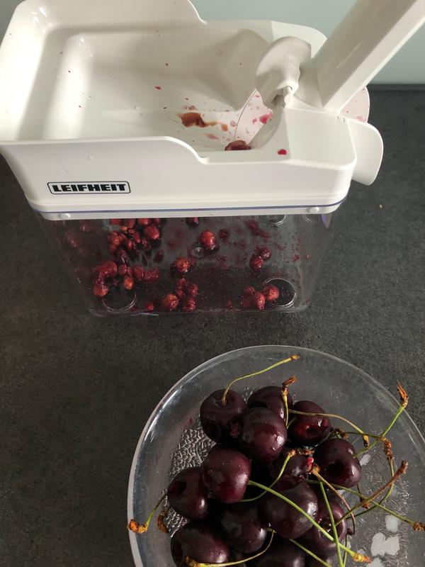 Leifheit Pièces Rechange Dénoyauteur Cerises - 3 Caoutchoucs + Ressort - Ref 37213