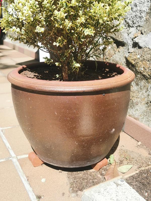 Abrir modal de revisión 1 de 1