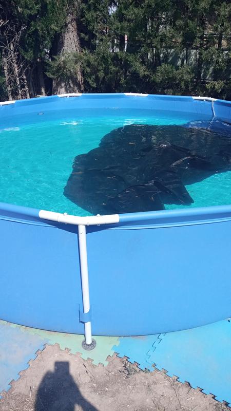 Ouvrir la fenêtre modale de l'avis 1 sur 1