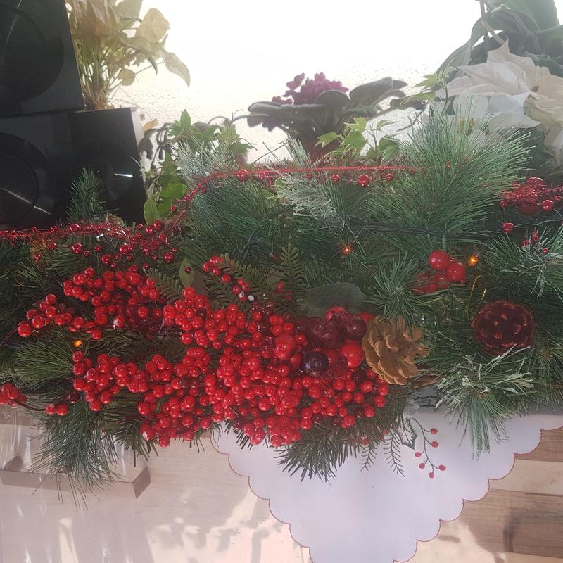 Abrir modal de revisión 1 de 1