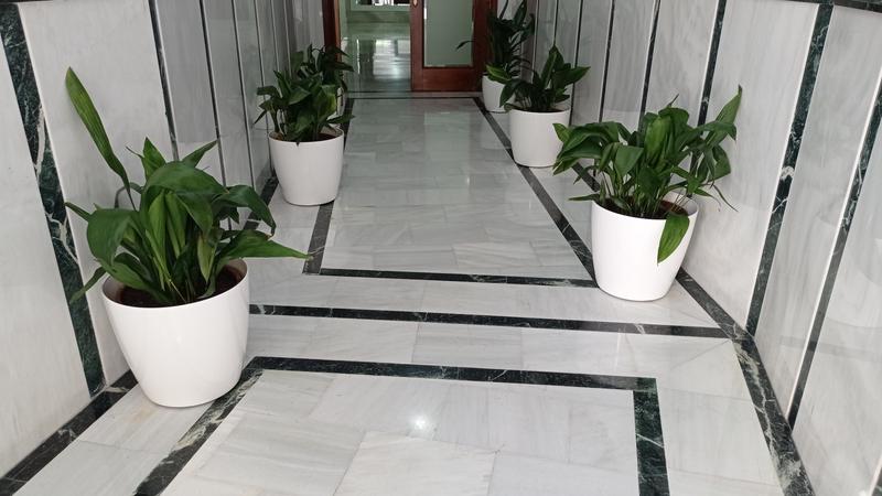 Abrir modal de revisión 1 de 1