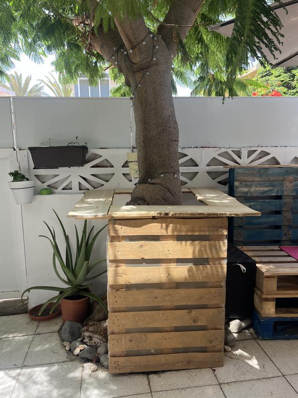 Abrir modal de revisión 1 de 1