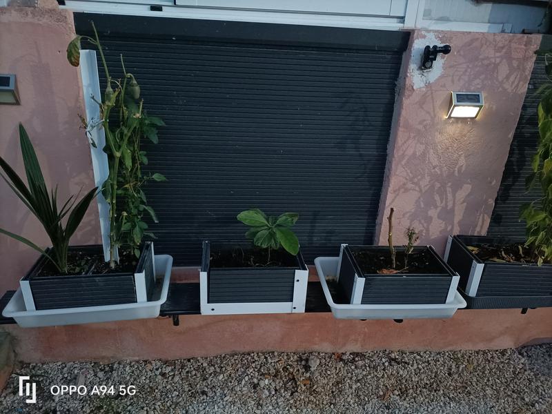 Abra o modal de avaliação 2 de 2