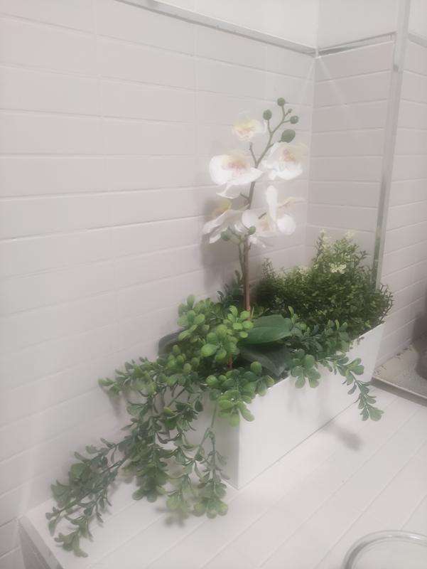 Abrir modal de revisión 1 de 1