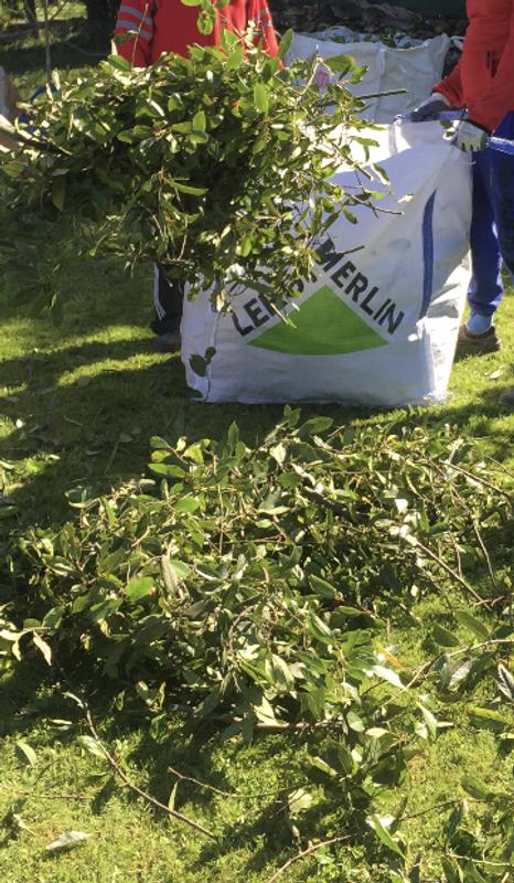 Abrir modal de revisión 1 de 1