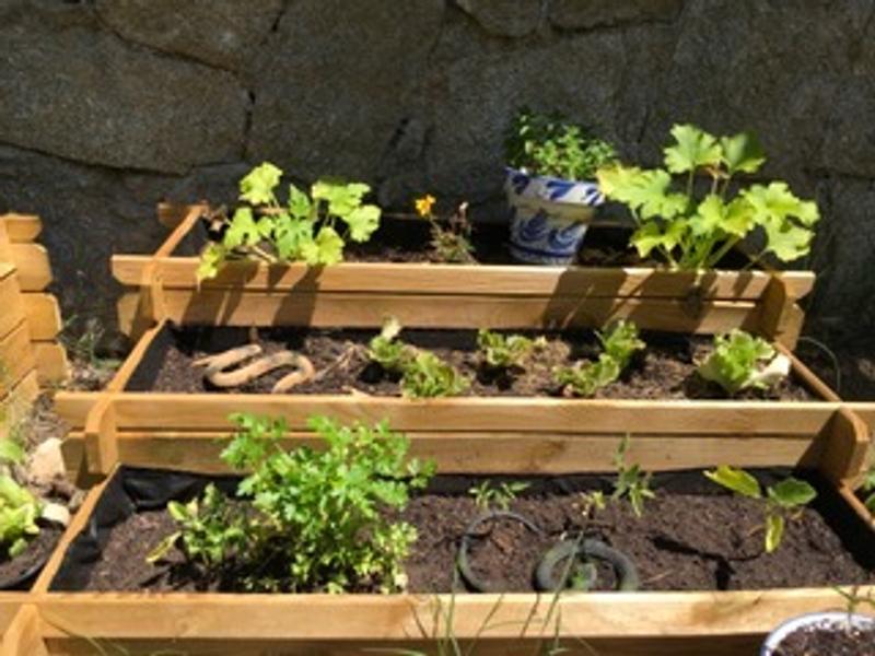 Abra o modal de avaliação 3 de 3