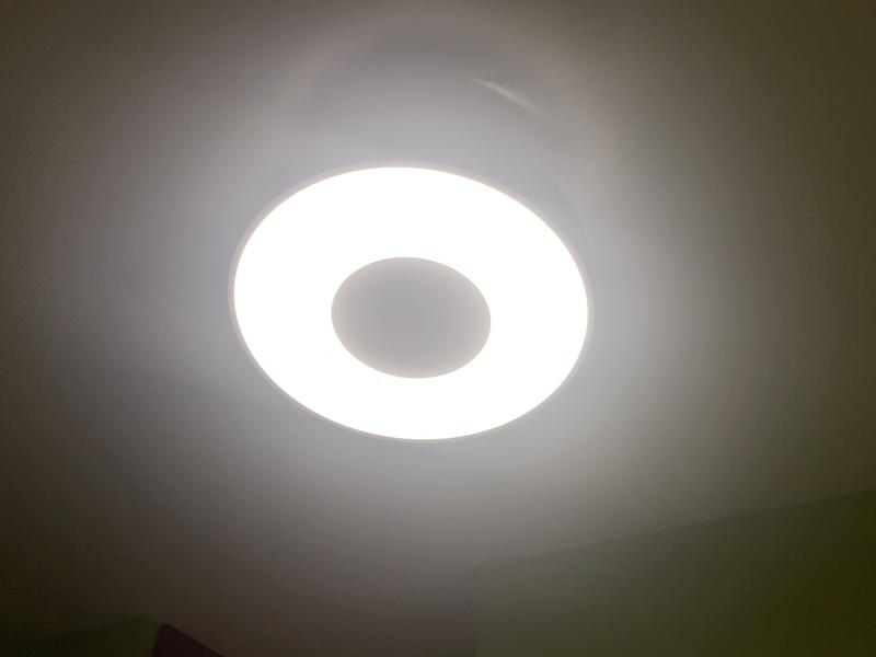 Revisione aperta modale 2 su 2