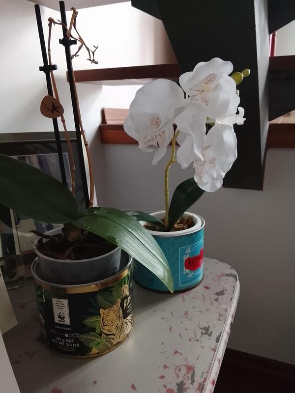 Abra o modal de avaliação 1 de 1