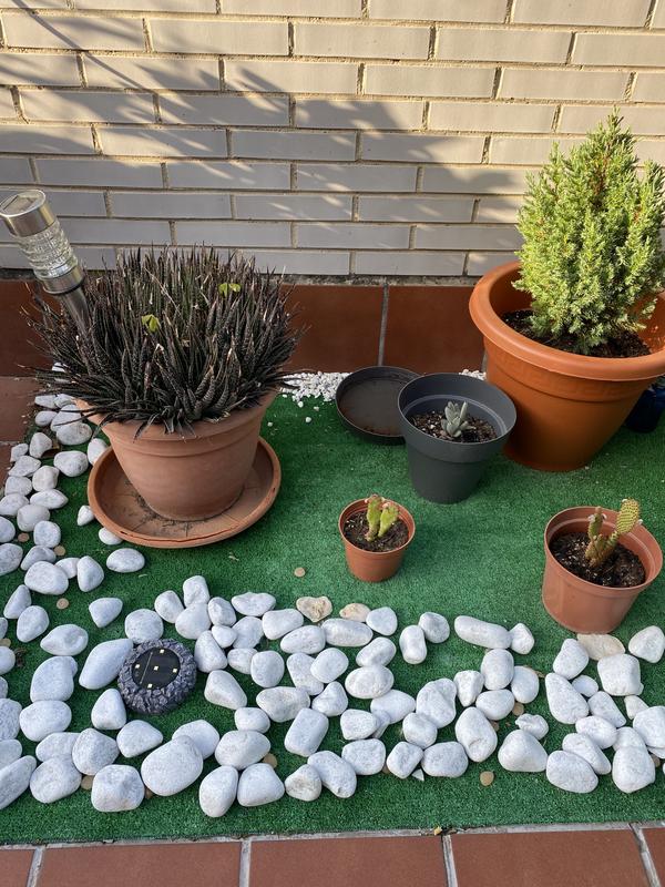 Abrir modal de revisión 1 de 1