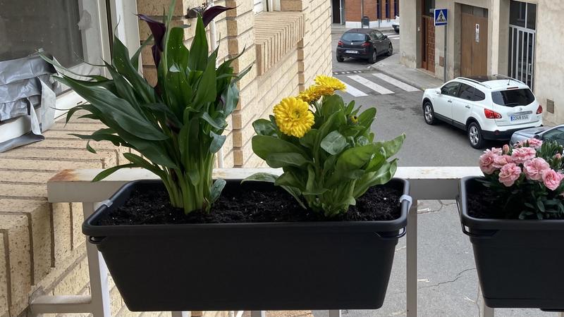 Abrir modal de revisión 2 de 2