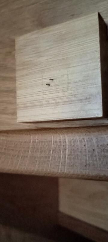 Abrir modal de revisión 1 de 2