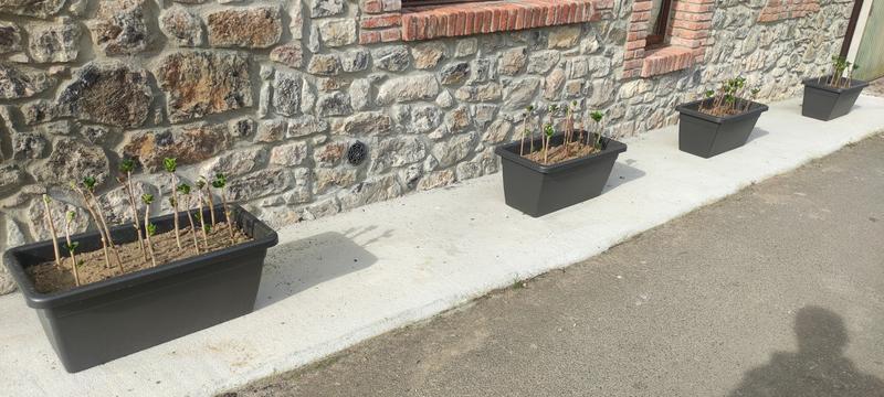 Abrir modal de revisión 1 de 1