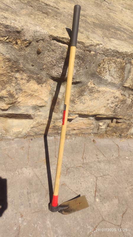 Abrir modal de revisión 1 de 1