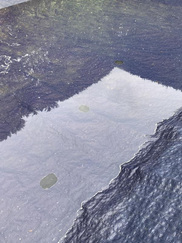 Abra o modal de avaliação 1 de 1