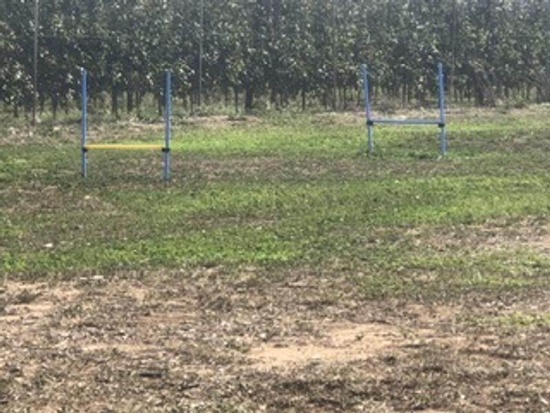 Abrir modal de revisión 1 de 1