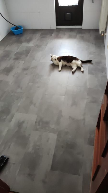 Abrir modal de revisión 1 de 1