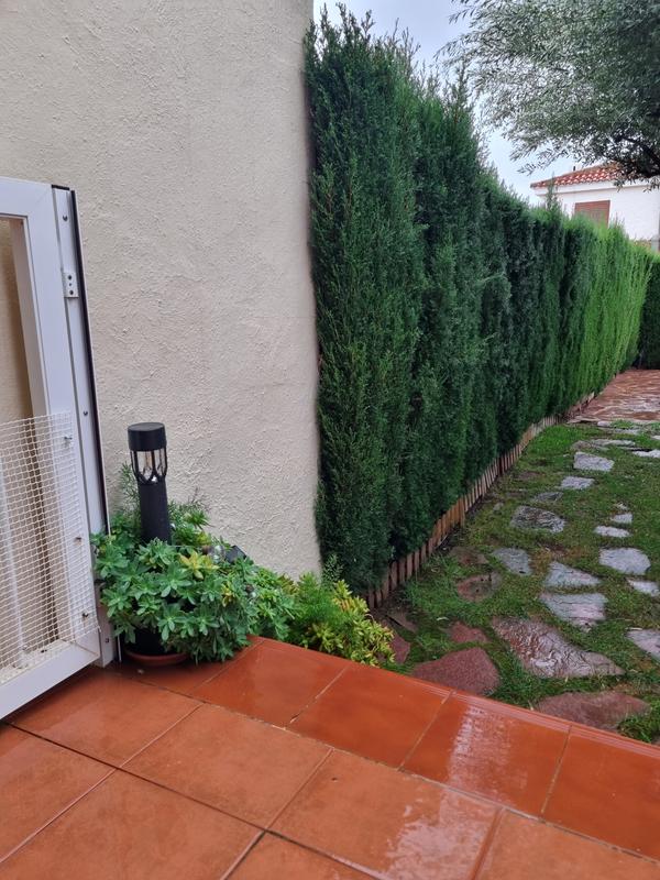 Abra o modal de avaliação 1 de 1