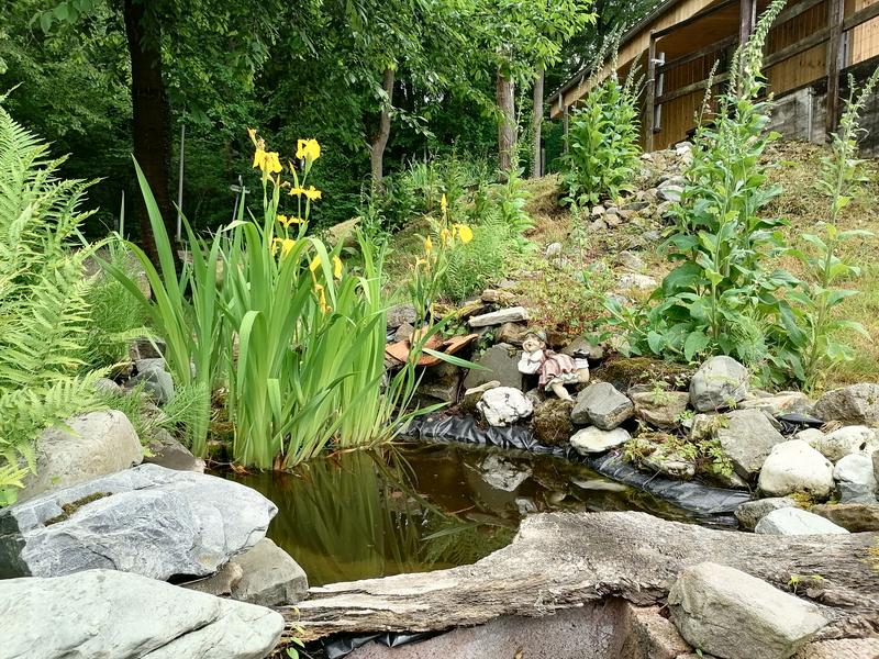 Ouvrir la fenêtre modale de l'avis 1 sur 1