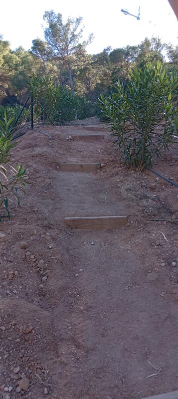 Abrir modal de revisión 2 de 2