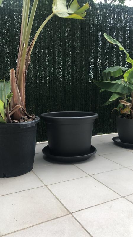 Abra o modal de avaliação 1 de 1