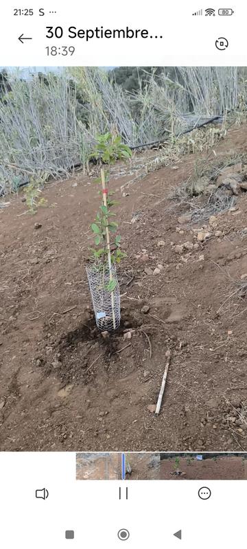 Abrir modal de revisión 1 de 3