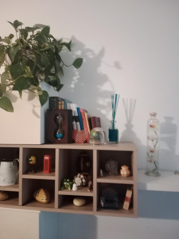 Abrir modal de revisión 1 de 1